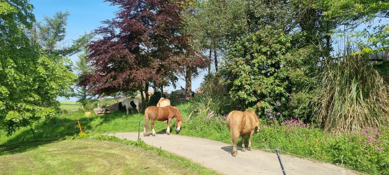 No 4 Trelawney Apartment - Onsite Bar - Restaurant - Horse Riding Menheniot Exterior foto